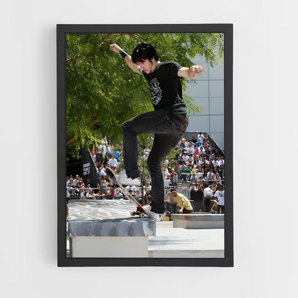 Poster Trickster au Skatepark – affiche Skateboard (vue 2)